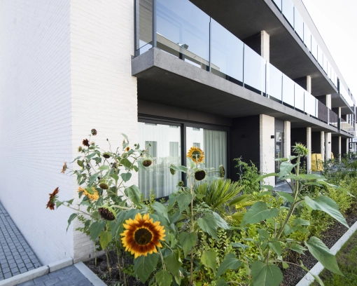 Appartementen Menen bouw nieuwbouw aannemer vastgoed Eribo